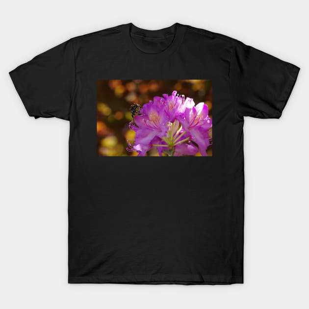 BAD RAP ON RHODODENDRONS T-Shirt by dumbodancer